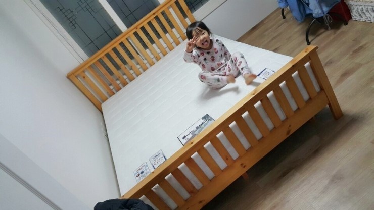 소나무기획 이미지