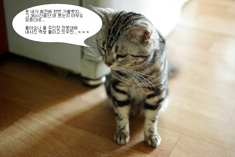 냠냠 이미지