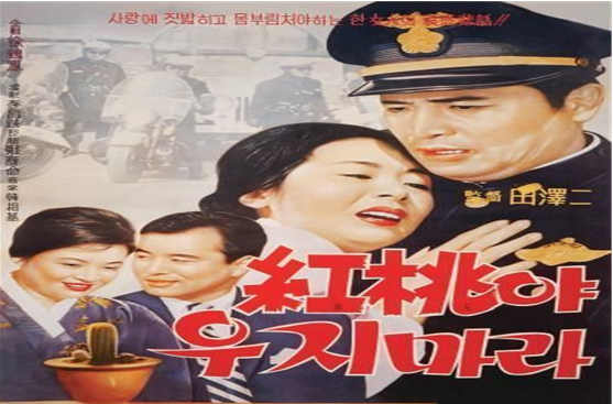 홍도야울지마라 이미지