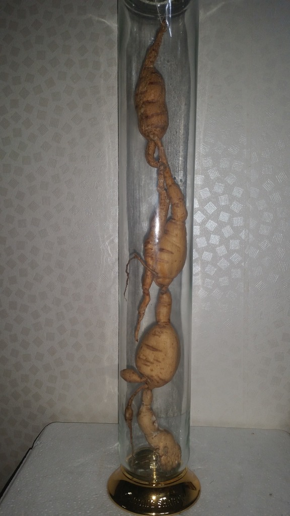 산삼애 이미지