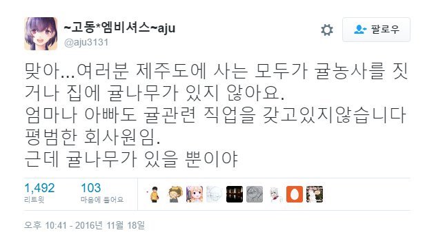 제주도라고 다 귤농사 짓고 그런다는 거 편견이야.twt | 인스티즈