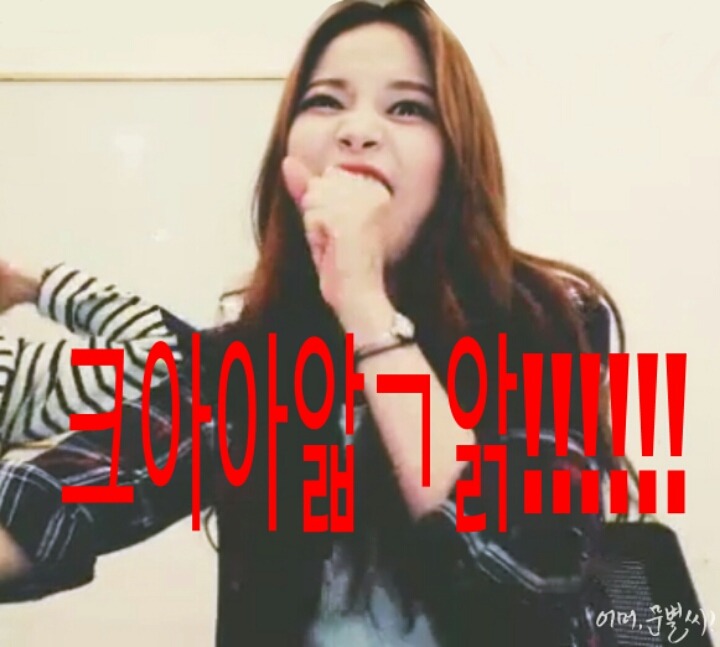 별콩 이미지