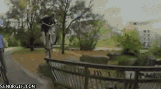 고자 되는 방법.gif | 인스티즈