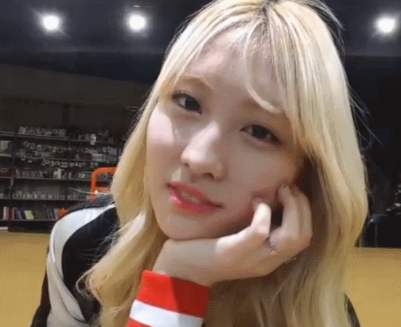 [트와이스] 모모 스킨 출시 | 인스티즈