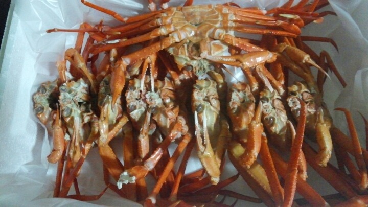 홍게찜 이미지