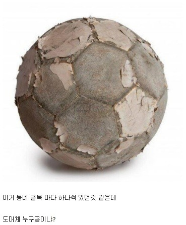 이공 주인아는사람은 아무도 없을듯 ... | 인스티즈