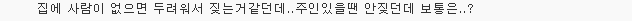 반려동물 때문에..쫓겨나고 전과자 되는 주인들 | 인스티즈