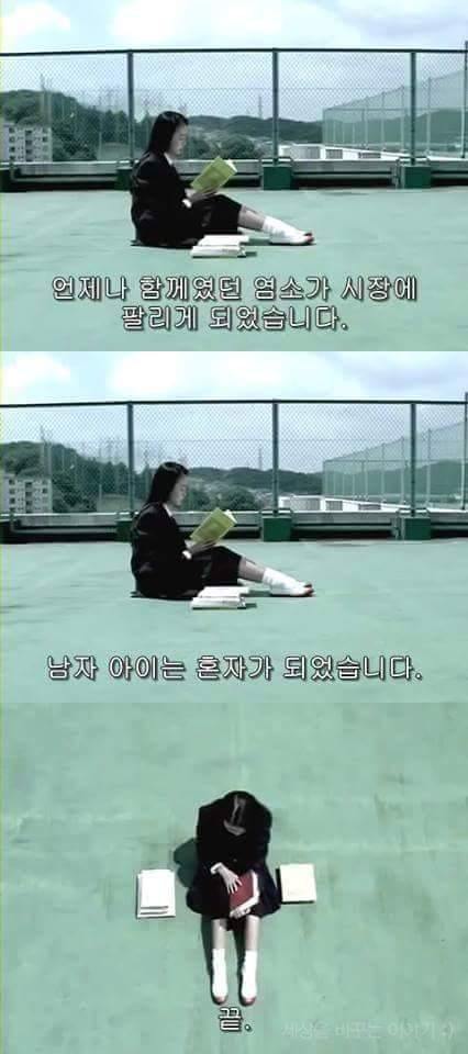 일본의 공익광고 | 인스티즈
