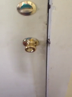 고양이.gif | 인스티즈