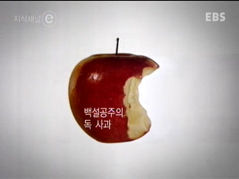 한 천재가 삼킨 네번째 사과 - 앨런튜링 | 인스티즈