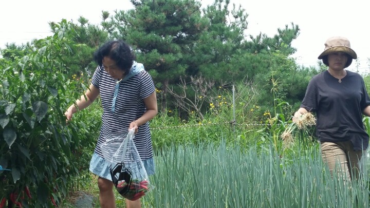무류 이미지