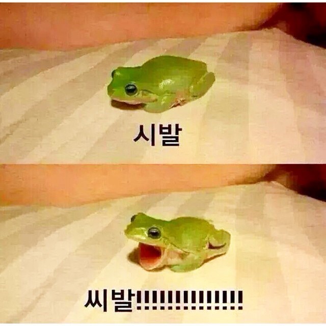 키 작은 남자들의 착각 | 인스티즈