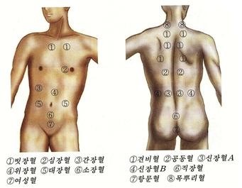 자연정혈요법 이미지