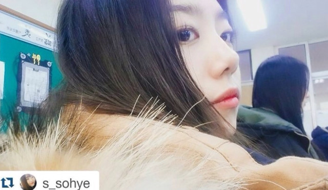 삼성전자를 소유하고있을것같은 고양이다 | 인스티즈