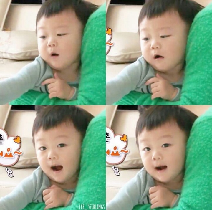 슈돌 인기원톱 대박이.gif | 인스티즈