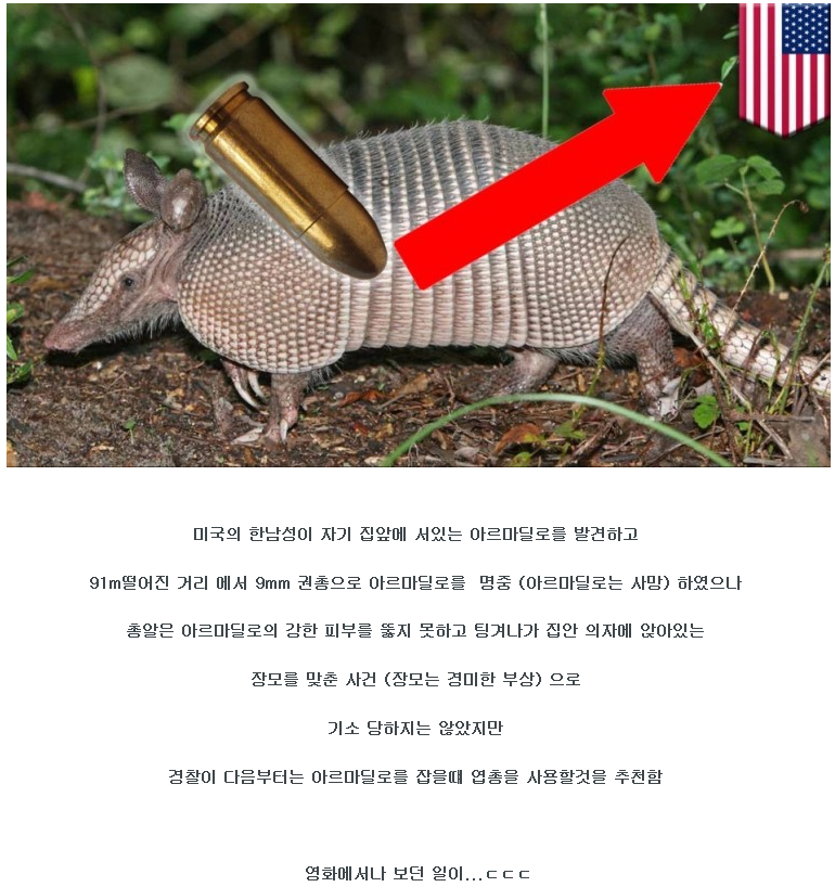 9mm 권총으로 야생동물 사냥했다가 장모 맞춘 이야기.gif | 인스티즈