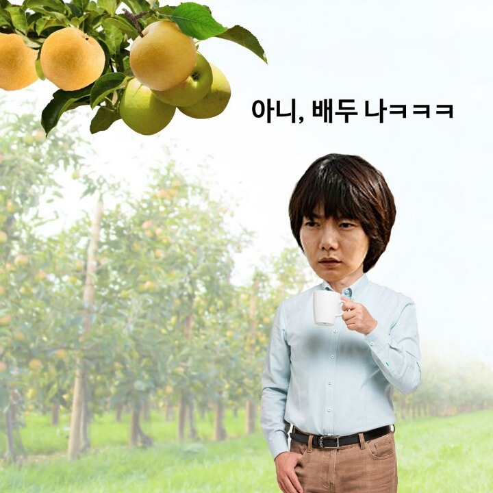 이 나무는 사과만 나와? | 인스티즈