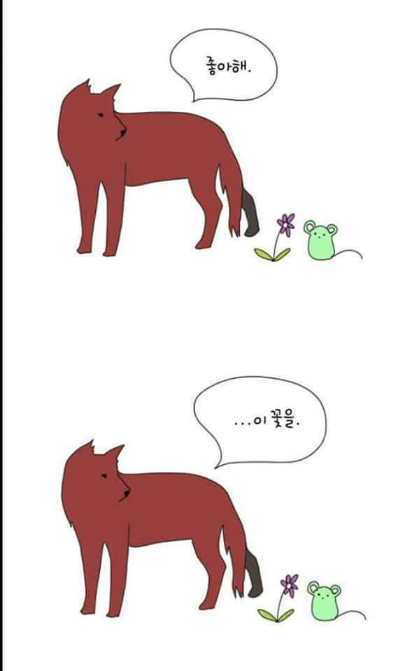 설레는 만화 | 인스티즈