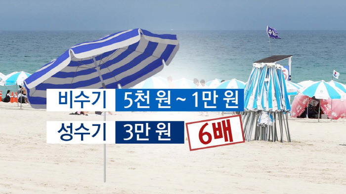 부산 140만원 vs 세부 129만원 | 인스티즈
