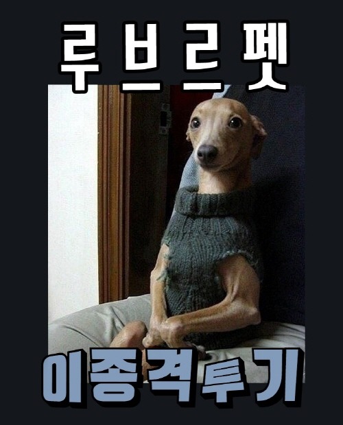 90년대에 인기 많았던 국산만화 단행본 | 인스티즈
