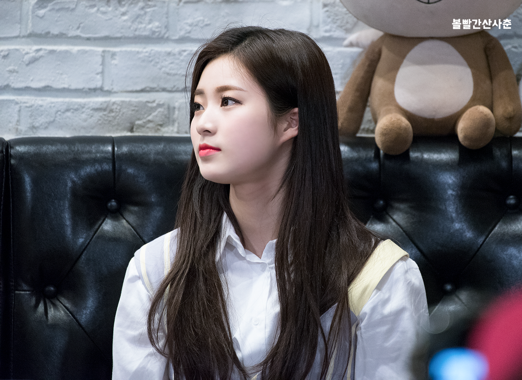 소나무와커피 이미지