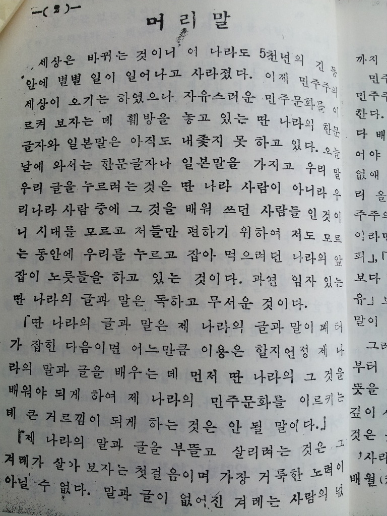 황금룡 이미지