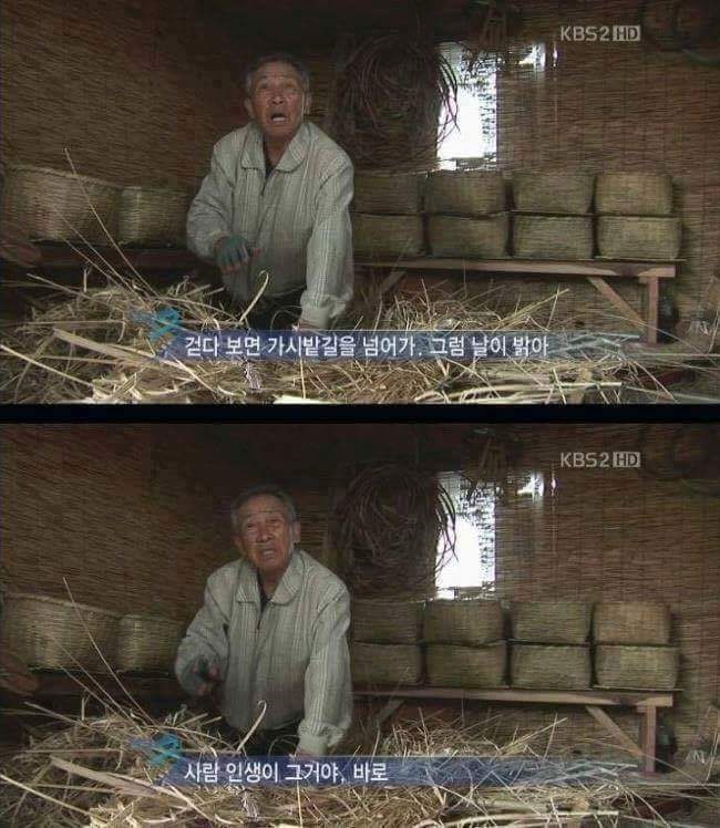 할아브의 명언 | 인스티즈