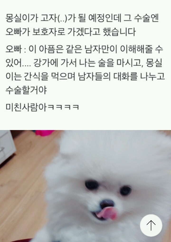댕댕이 중성화 수술 시키러가는 오빠의 말 | 인스티즈