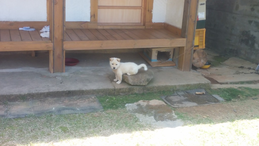 앉아있는거다 vs 서있는거다 | 인스티즈