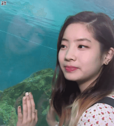 트와이스 다현 | 인스티즈