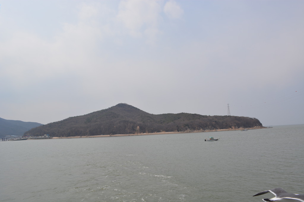국사봉쭈꾸미 이미지