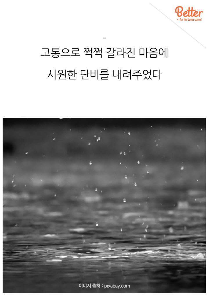 어느날 갑자기 생산을 중단한 외국 맥주회사.jpg | 인스티즈