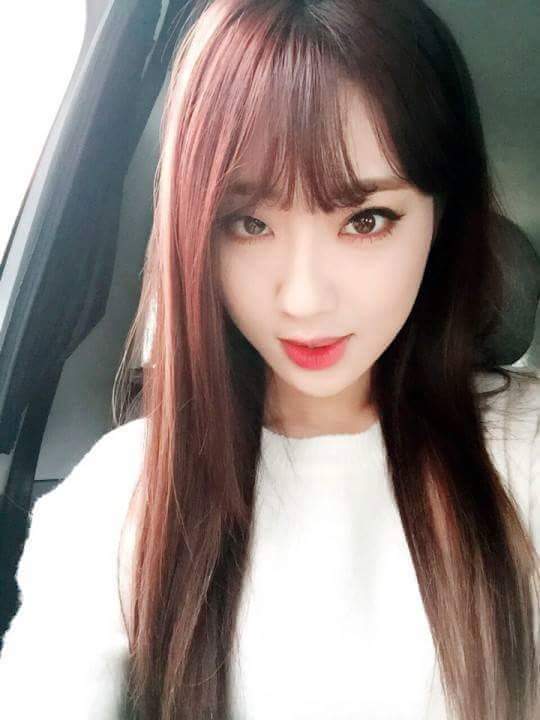 주관적으로 지코닮았다고생각하는 연예인... | 인스티즈