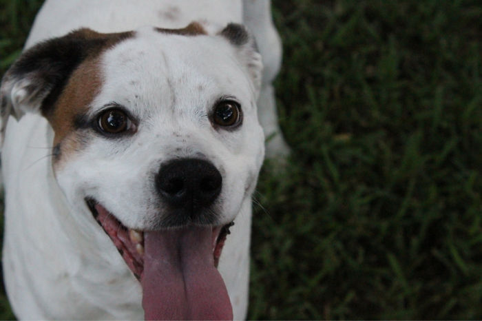 2626DA385602ABF7251582