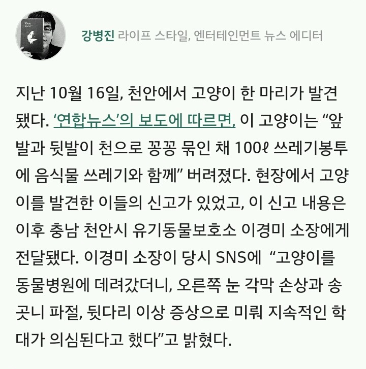 발 묶인 채 쓰레기봉투에 담긴 고양이 사건은 자작극이었다 | 인스티즈