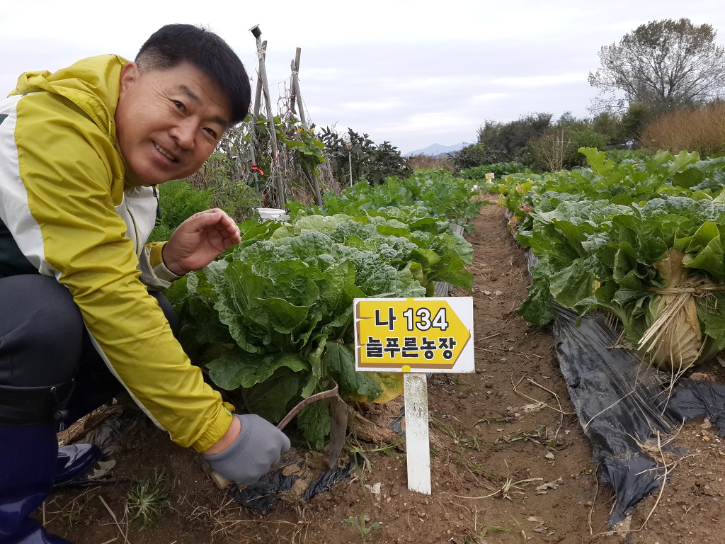 늘푸른농장 이미지