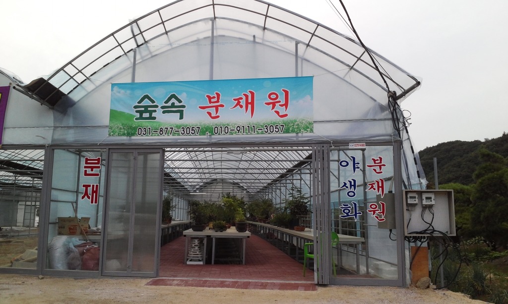 숲속분재원 이미지