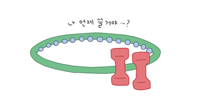 요즘 소소하게 유행중인 미니멀 라이프 스타일 | 인스티즈