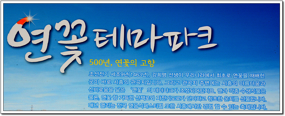포토스토리 이미지
