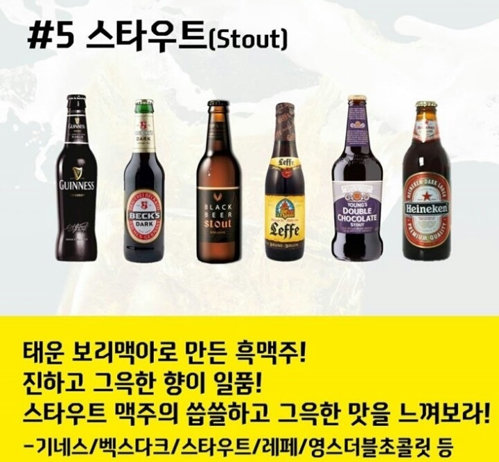맥주의 종류..여러분의 취향은? | 인스티즈