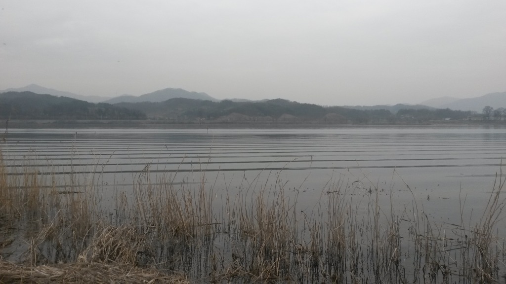 왈츠와닥터만 이미지
