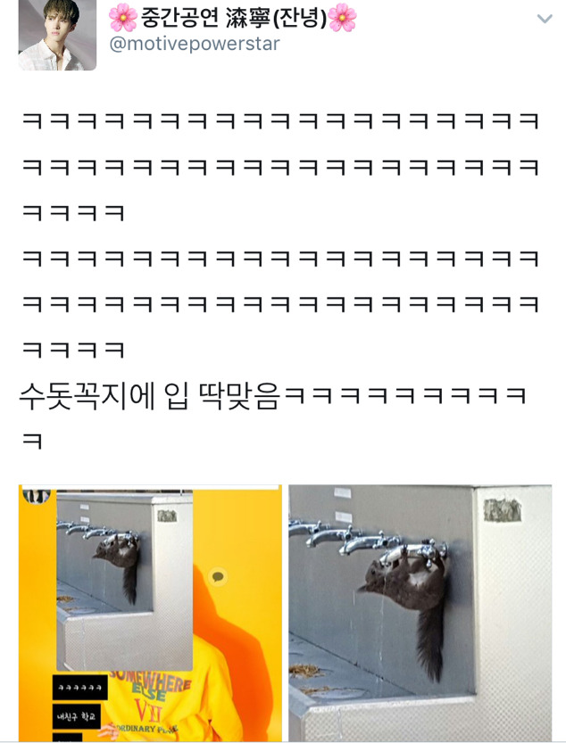 대구 모 대학의 청설모 | 인스티즈