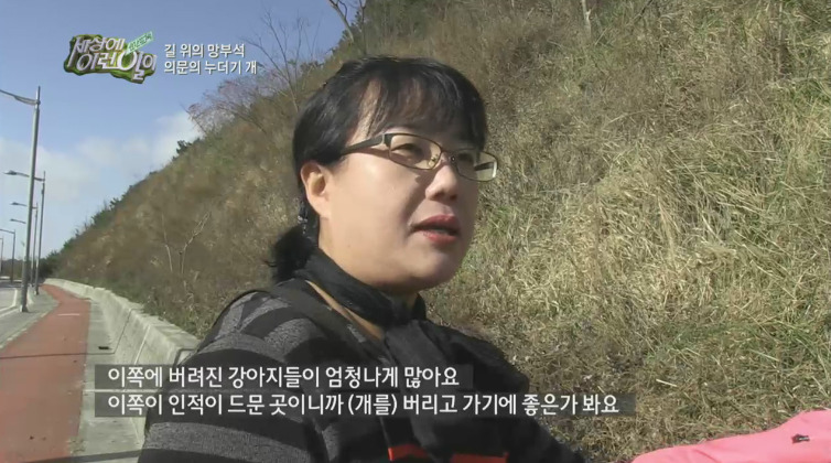 [세상에이런일이] 도로위에 망부석이 되서 주인을 기다리는 강아지.jpg | 인스티즈