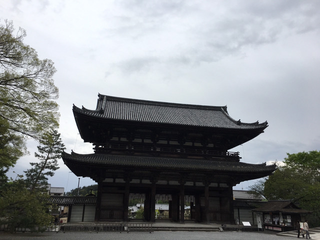 나홀로 교토여행 13박14일(2일차-2 닌나지,료안지,묘신지) | 인스티즈