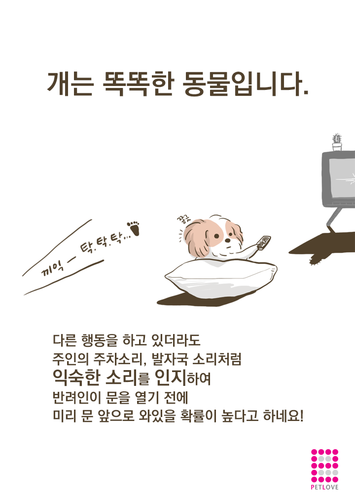 강아지들이 문앞에 앉아있는 이유? (만화) | 인스티즈