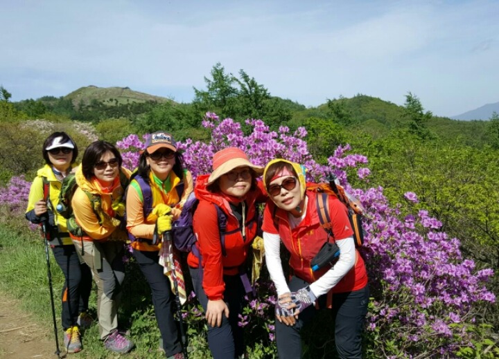 달구지 이미지