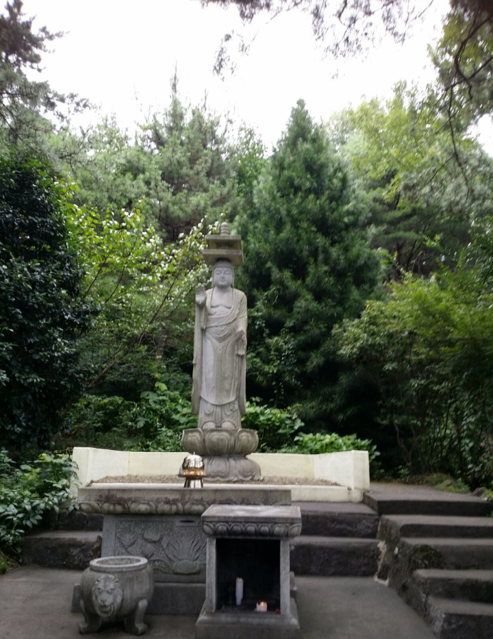 석향 이미지