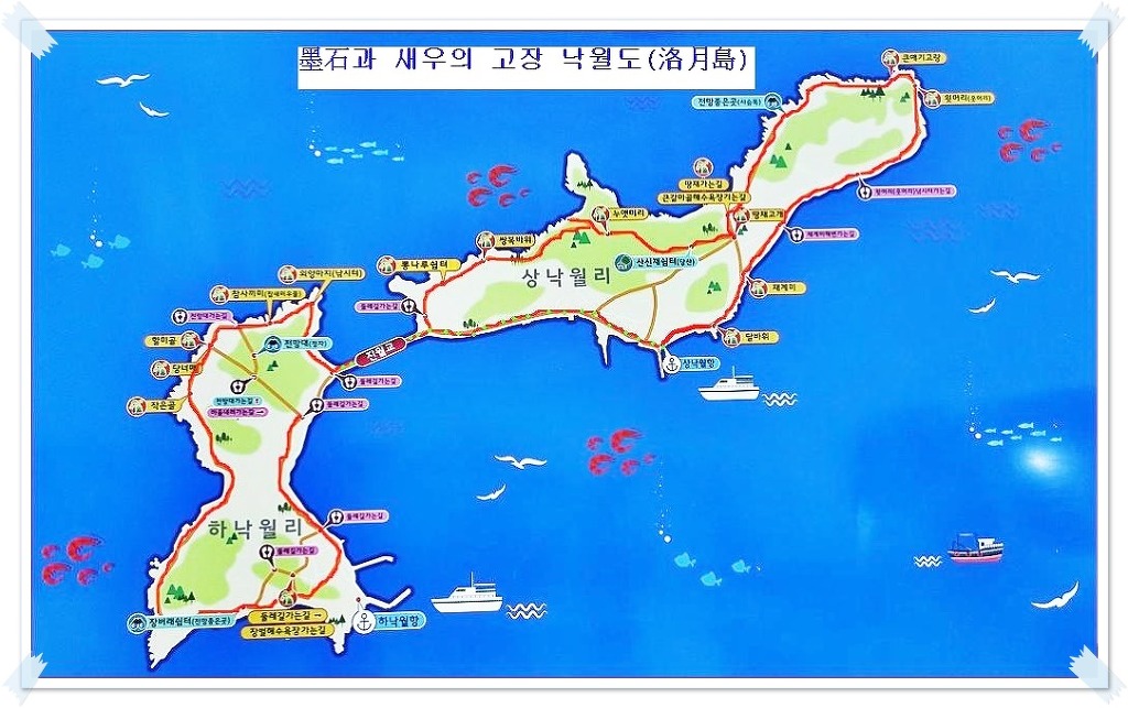 365차 이미지