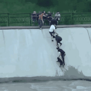 동네의 영웅들.gif | 인스티즈