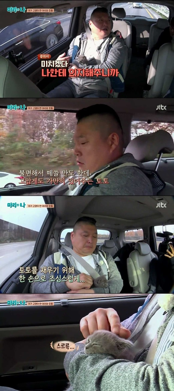 [마리와나] 케미가 냥냥 터지는 강호동과 새끼 고양이 토토.jpg | 인스티즈